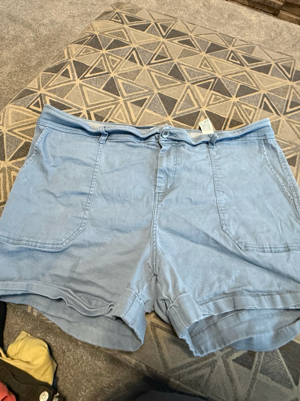 Light Blue Women's Shorts Market & Spruce